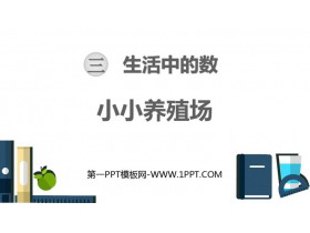 《小小养殖场》生活中的数PPT免费课件-第一PPT