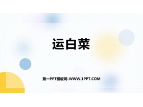 《运白菜》加与减PPT教学课件-第一PPT