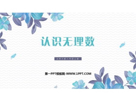 《认识无理数》实数PPT精品课件-第一PPT