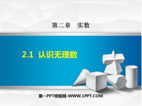 《认识无理数》实数PPT优秀课件-第一PPT