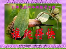 《谁爬得快》小数除法PPT课件-第一PPT