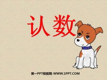 《认数》认识100以内的数PPT课件-第一PPT