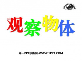 《观察物体》PPT免费优质课件-第一PPT
