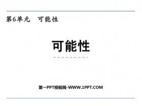 《可能性》PPT优质课件-第一PPT