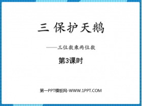 《保护天鹅》PPT免费课件(第3课时)-第一PPT