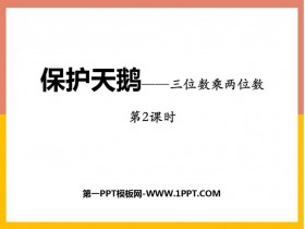 《保护天鹅》PPT免费下载(第2课时)-第一PPT