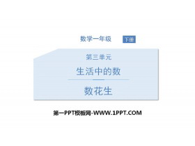 《数花生》生活中的数PPT-第一PPT
