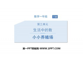 《小小养殖场》生活中的数PPT下载-第一PPT