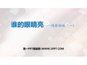 《谁的眼睛亮》PPT课件下载-第一PPT