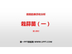 《栽蒜苗(一)》数据的表示和分析PPT(第1课时)-第一PPT