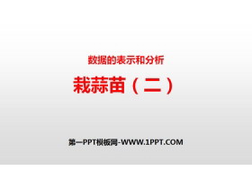《栽蒜苗(二)》数据的表示和分析PPT-第一PPT