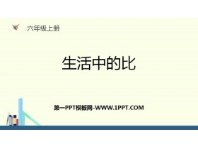 《生活中的比》比的认识PPT下载-第一PPT