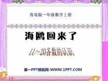 《海鸥回来了》PPT课件2-第一PPT
