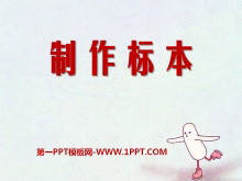 《制作标本》PPT课件6-第一PPT