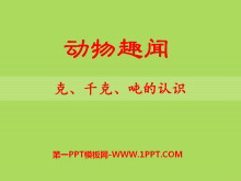 《动物趣闻》PPT课件3-第一PPT