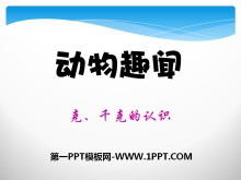 《动物趣闻》PPT课件-第一PPT
