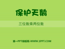 《保护天鹅》PPT课件-第一PPT
