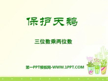 《保护天鹅》PPT课件3-第一PPT