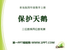 《保护天鹅》PPT课件7-第一PPT