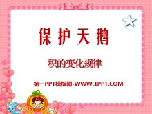 《保护天鹅》PPT课件9-第一PPT