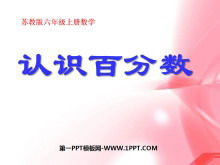 《认识百分数》PPT课件4-第一PPT