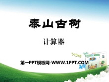 《泰山古树》PPT课件2-第一PPT