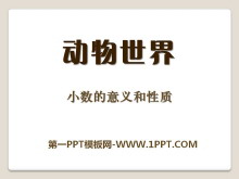 《动物世界》PPT课件-第一PPT