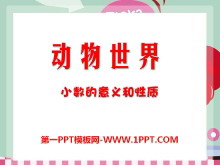 《动物世界》PPT课件3-第一PPT