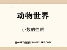 《动物世界》PPT课件5-第一PPT