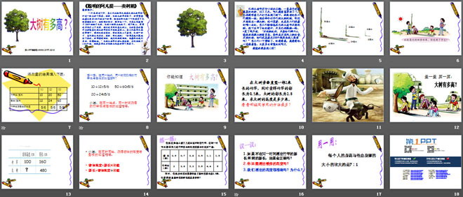 图片[2]-《大树有多高》正比例和反比例PPT课件2-第一PPT