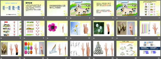 图片[2]-《看一看数一数》上学了PPT课件-第一PPT