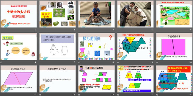 图片[2]-《生活中的多边形》PPT课件4-第一PPT