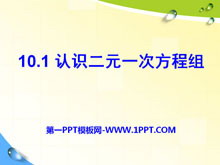《认识二元一次方程组》PPT课件-第一PPT