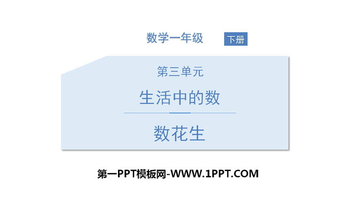 图片[1]-《数花生》生活中的数PPT-第一PPT