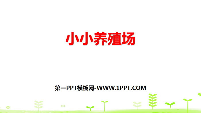 图片[1]-《小小养殖场》生活中的数PPT-第一PPT