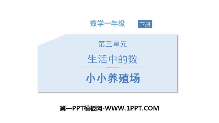 图片[1]-《小小养殖场》生活中的数PPT下载-第一PPT