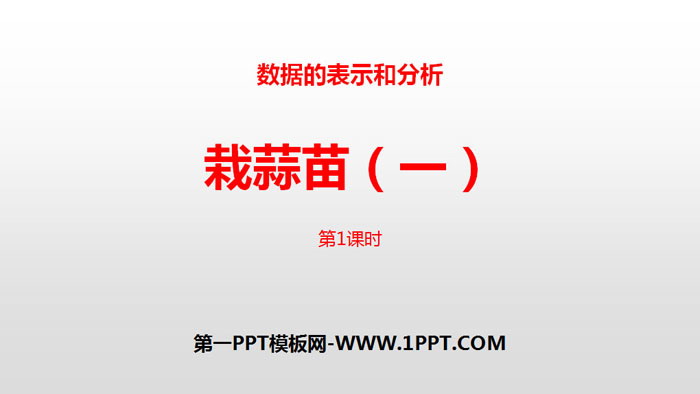 图片[1]-《栽蒜苗(一)》数据的表示和分析PPT(第1课时)-第一PPT
