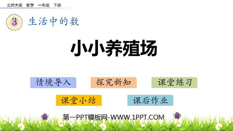 图片[1]-《小小养殖场》生活中的数PPT教学课件-第一PPT