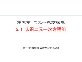 《认识二元一次方程组》二元一次方程组PPT优质课件-第一PPT