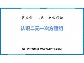 《认识二元一次方程组》二元一次方程组PPT下载-第一PPT