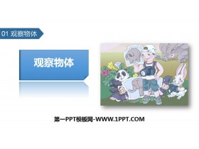 《观察物体》PPT教学课件-第一PPT
