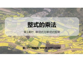 《整式的乘法》整式的乘法与因式分解PPT(第1课时单项式与单项式相乘)-第一PPT