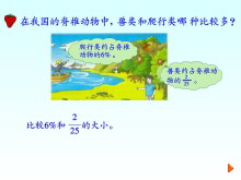 《分数和百分数的大小比较》百分数Flash动画课件2-第一PPT