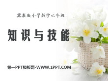 《知识与技能》探索乐园PPT课件4-第一PPT