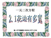 《花边有多宽》一元二次方程PPT课件2-第一PPT