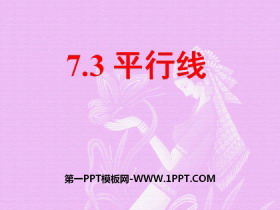 《平行线》PPT-第一PPT