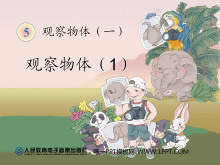 《观察物体》PPT课件-第一PPT