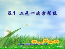 《二元一次方程组》PPT课件-第一PPT