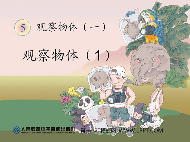 图片[1]-《观察物体》PPT课件-第一PPT