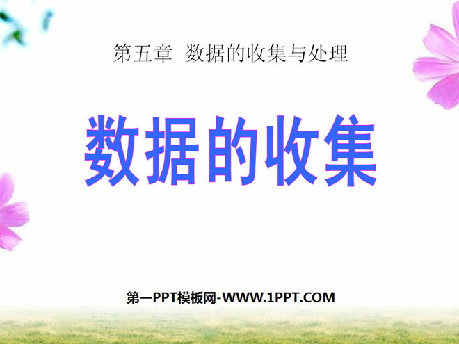 图片[1]-《数据的收集》数据的收集与处理PPT课件3-第一PPT